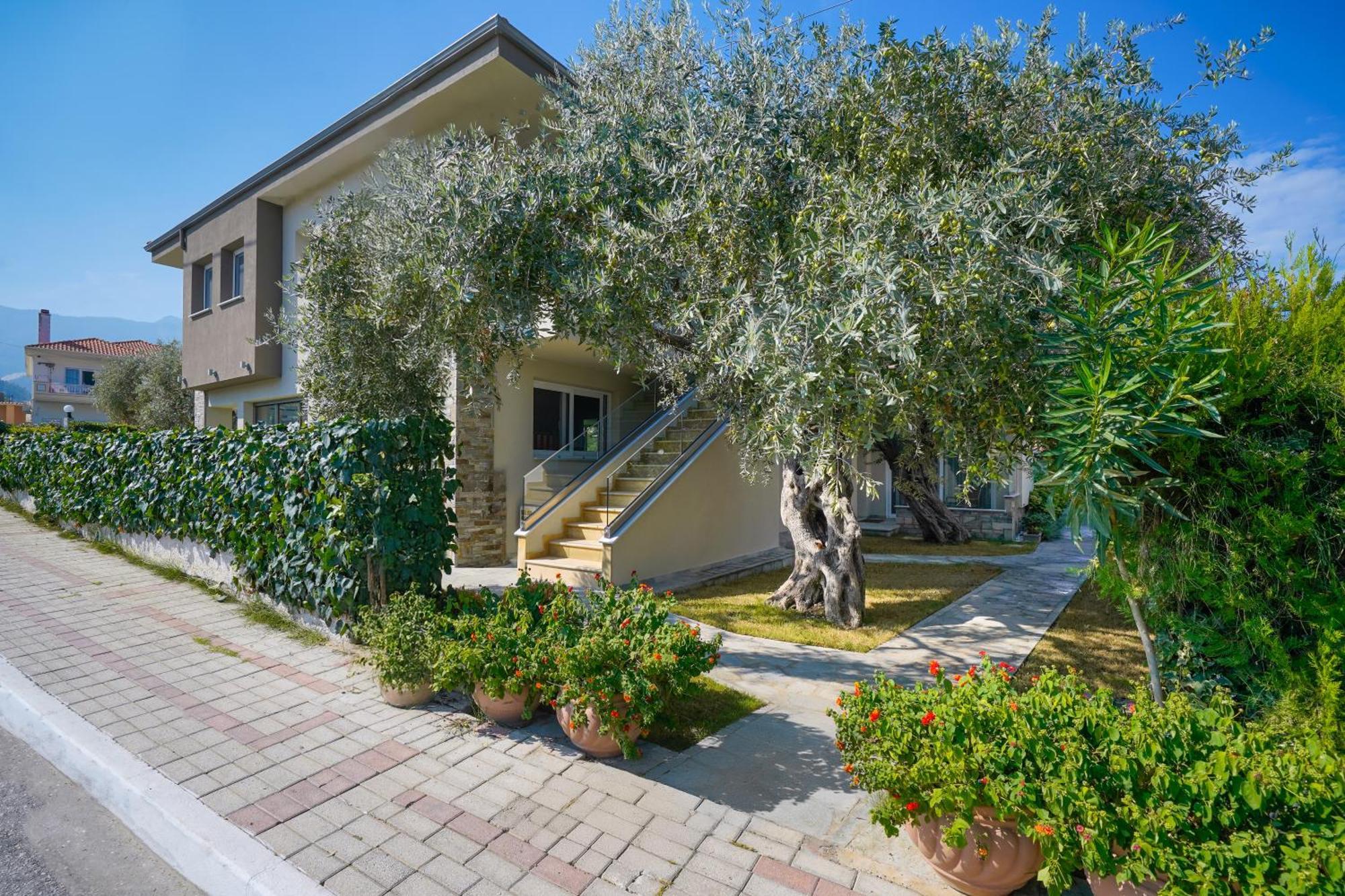 Luxury Villa Fotini 萨索斯 外观 照片